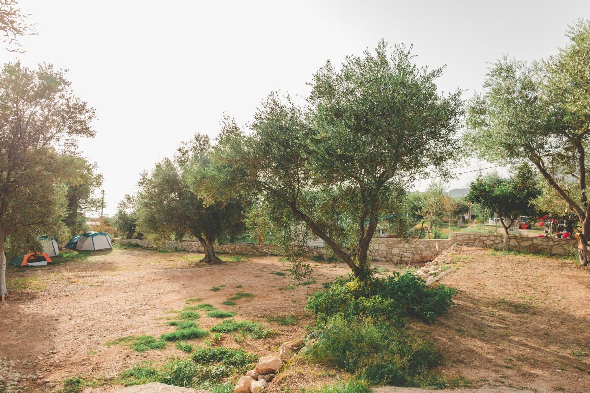 Olive Camping Himarë Exteriér fotografie