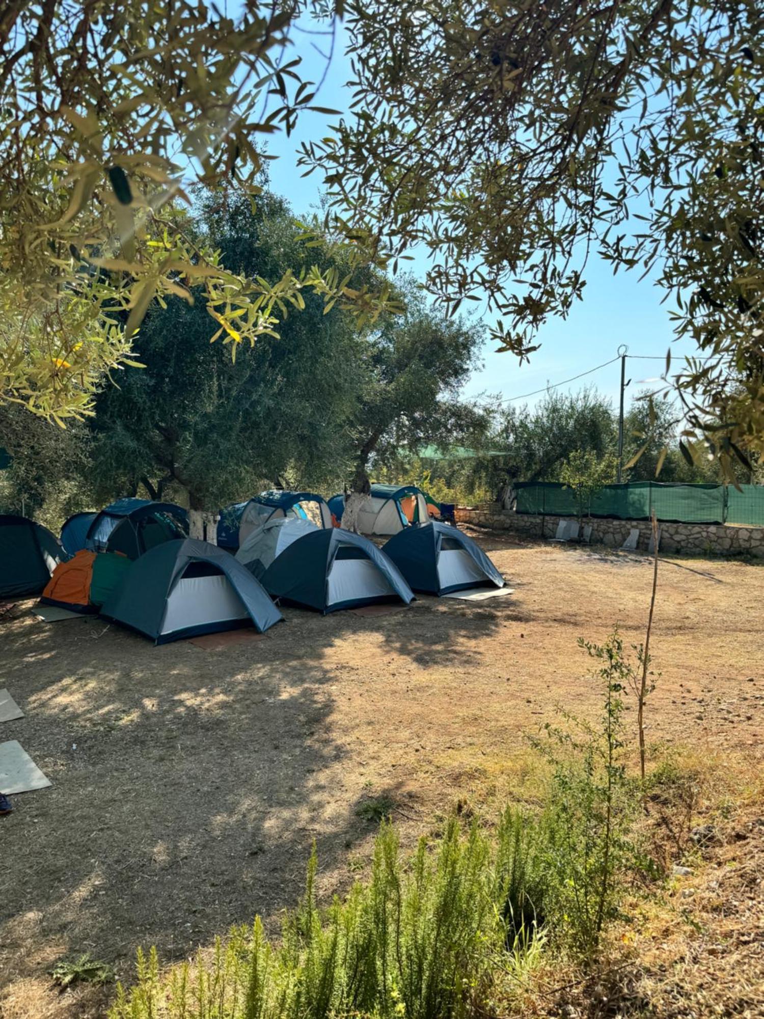 Olive Camping Himarë Exteriér fotografie